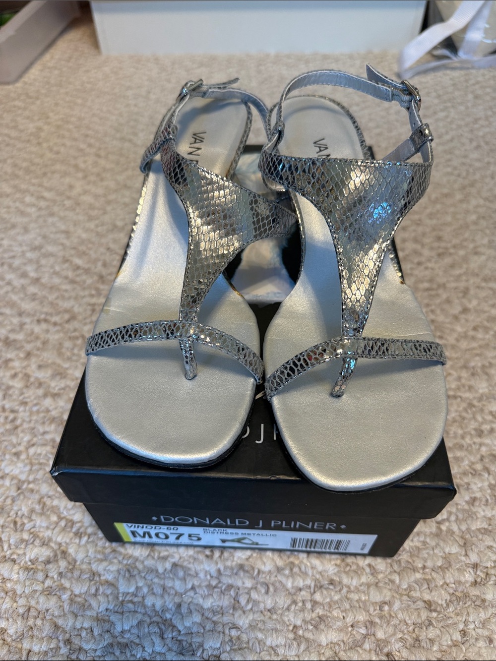Donald J Pliner Metallic Silver T-Strap Sandals